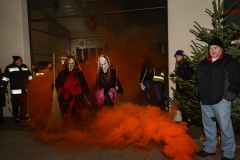 Photo by Sascha Fiala