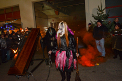 Photo by Sascha Fiala