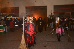 Photo by Sascha Fiala