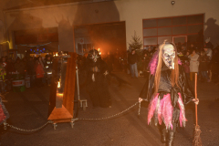 Photo by Sascha Fiala