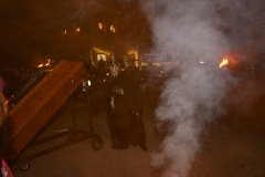 Photo by Sascha Fiala