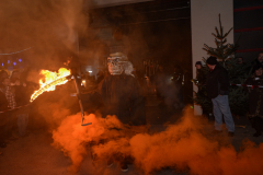 Photo by Sascha Fiala