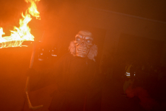 Photo by Sascha Fiala