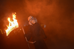 Photo by Sascha Fiala