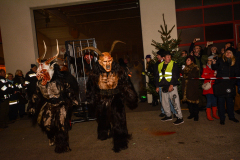 Photo by Sascha Fiala