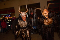 Photo by Sascha Fiala