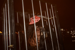 Photo by Sascha Fiala