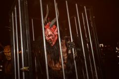 Photo by Sascha Fiala