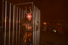 Photo by Sascha Fiala