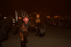 Photo by Sascha Fiala