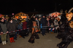 Photo by Sascha Fiala