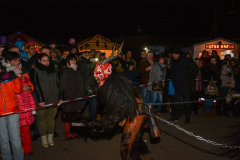 Photo by Sascha Fiala