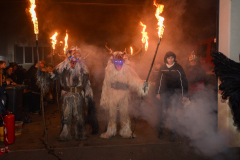 Photo by Sascha Fiala