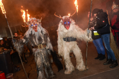 Photo by Sascha Fiala