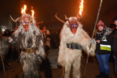 Photo by Sascha Fiala