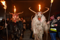 Photo by Sascha Fiala