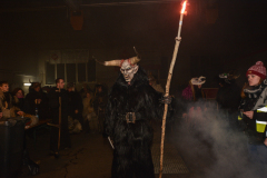 Photo by Sascha Fiala