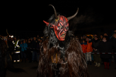 Photo by Sascha Fiala