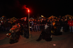 Photo by Sascha Fiala