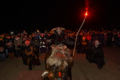 Photo by Sascha Fiala