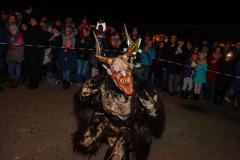 Photo by Sascha Fiala