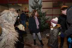 Photo by Sascha Fiala