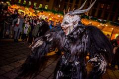 Photo by Sascha Fiala