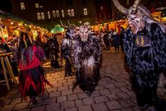 Photo by Sascha Fiala