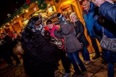 Photo by Sascha Fiala