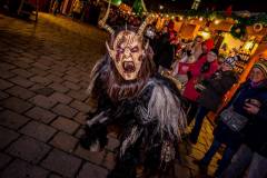 Photo by Sascha Fiala