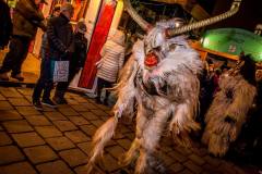 Photo by Sascha Fiala