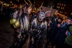 Photo by Sascha Fiala