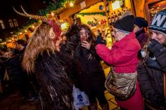 Photo by Sascha Fiala