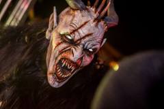 Photo by Sascha Fiala