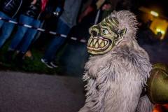 Photo by Sascha Fiala