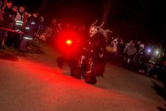 Photo by Sascha Fiala