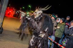 Photo by Sascha Fiala