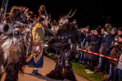 Photo by Sascha Fiala