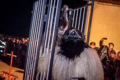 Photo by Sascha Fiala