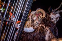 Photo by Sascha Fiala