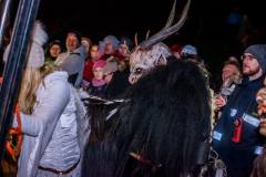 Photo by Sascha Fiala