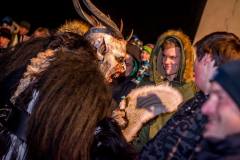 Photo by Sascha Fiala