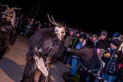 Photo by Sascha Fiala