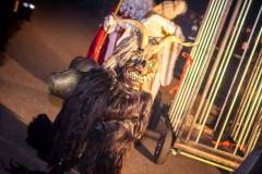 Photo by Sascha Fiala