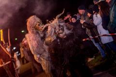 Photo by Sascha Fiala