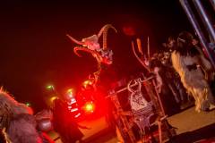 Photo by Sascha Fiala