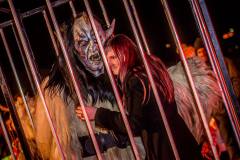 Photo by Sascha Fiala