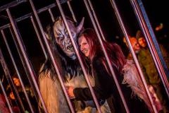 Photo by Sascha Fiala