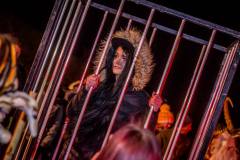 Photo by Sascha Fiala