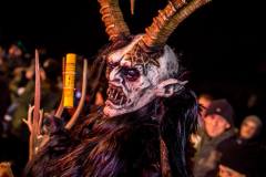 Photo by Sascha Fiala